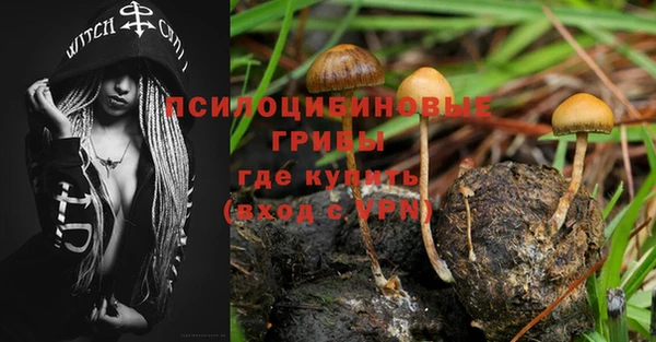 экстази Алексеевка
