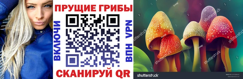 Псилоцибиновые грибы ЛСД Бахчисарай